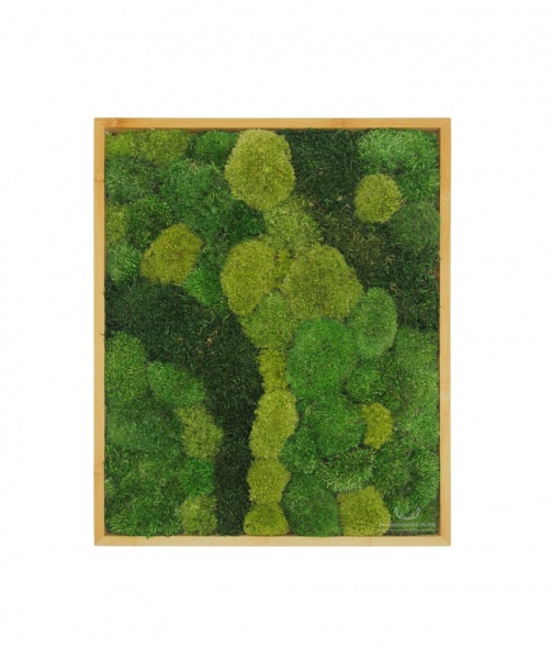 Bun & Flat Moss Painting - Wall Art made of Pillow/bun and flat moss in a 50x40cm bamboo wood frame